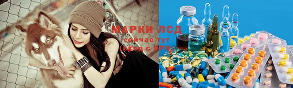 гидропоника Михайловск
