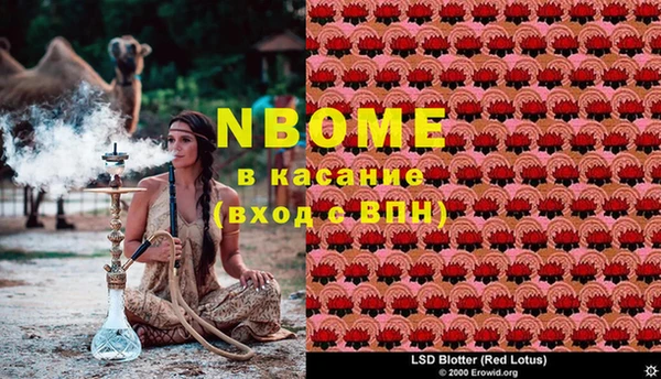 спайс Михайлов
