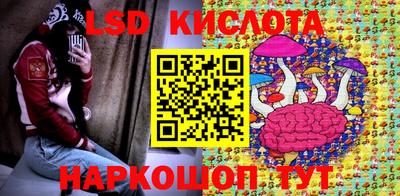 шишки Кимры