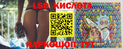 шишки Кимры