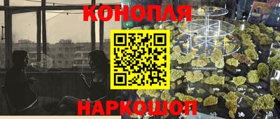 шишки Кимры
