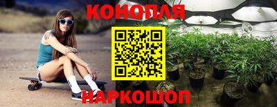 шишки Кимры