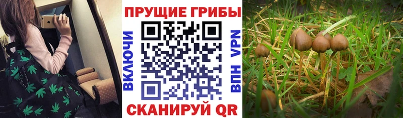 Галлюциногенные грибы GOLDEN TEACHER  Пыть-Ях 