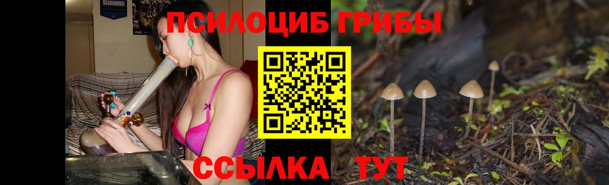 Галлюциногенные грибы Psilocybe Пыть-Ях